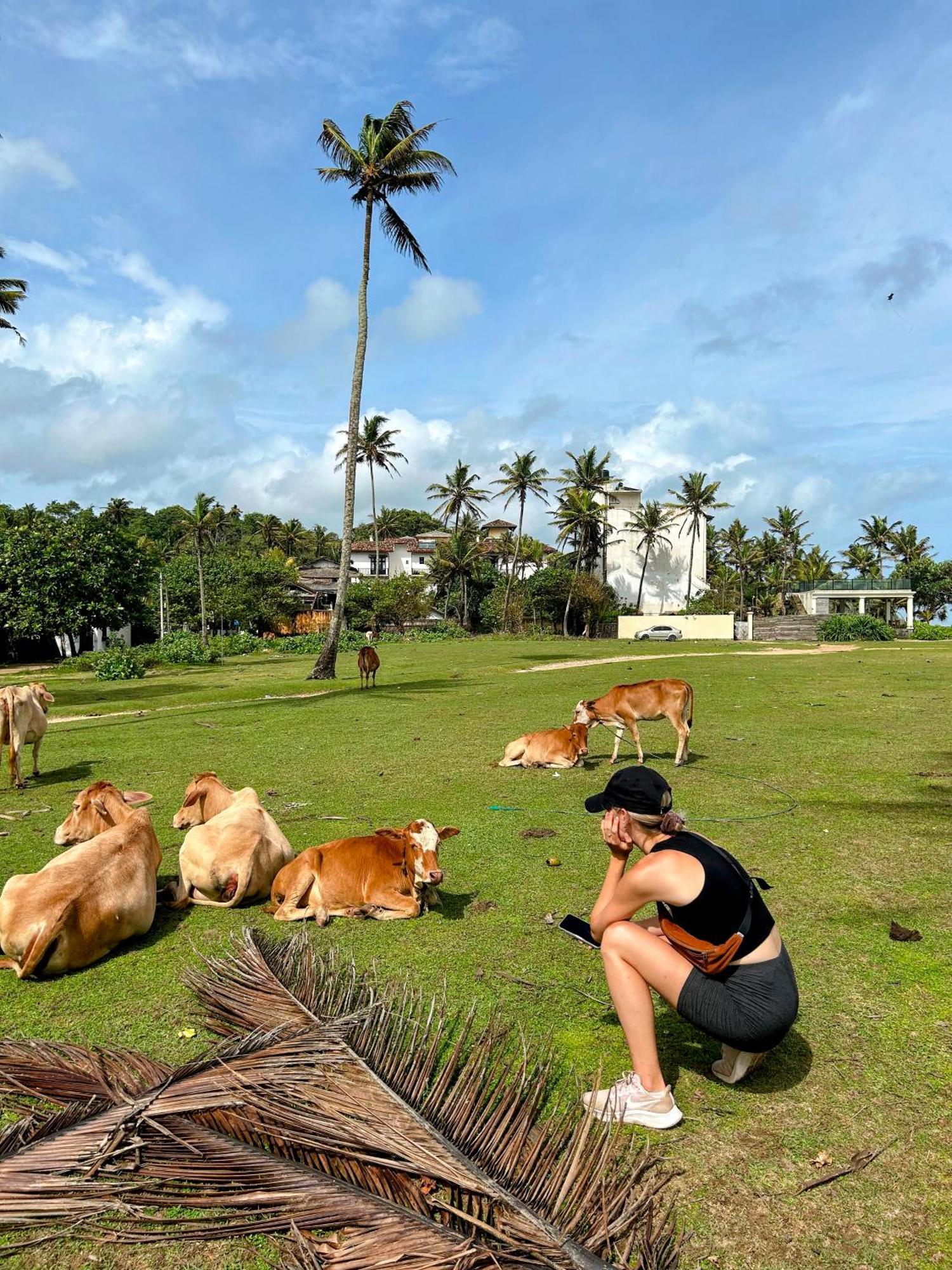 Wake Up Weligama Hostel Exterior photo